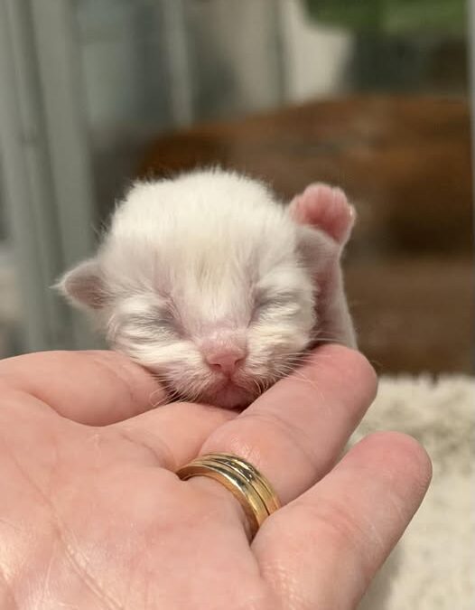 Don’t Get Scammed!